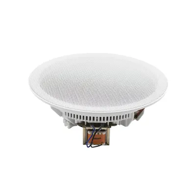DSPPA DSP8011 – Parlante de Techo para Empotrar (6.5″, 6 W / 100 V)